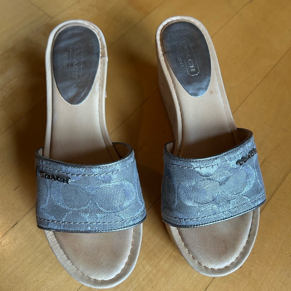 Coach Women's Blue Wedge Sandals
